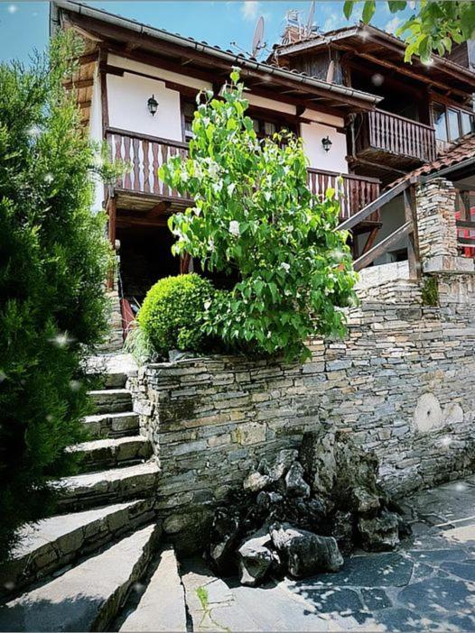 Sharkov Guest House Dolen  Zewnętrze zdjęcie