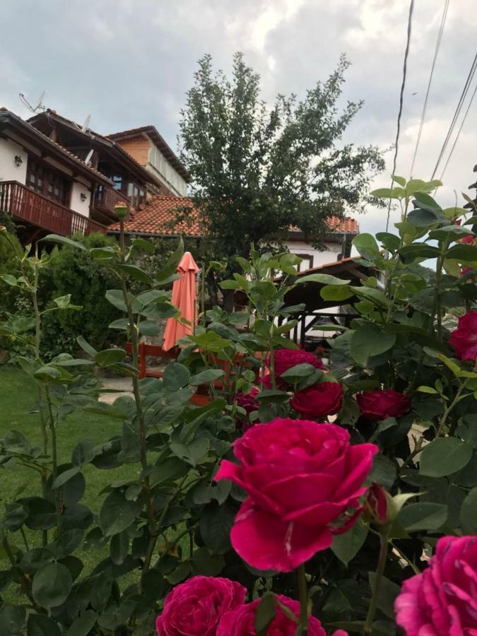 Sharkov Guest House Dolen  Zewnętrze zdjęcie